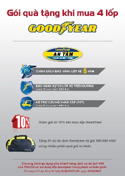1786_to roi goodyear-02